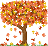 Fall