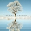 Reflection